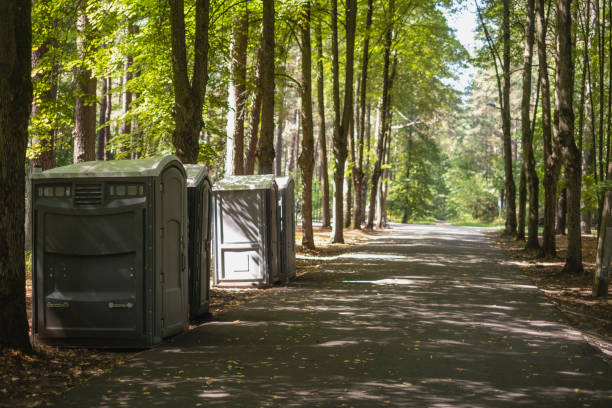 Best High-end porta potty rental  in Winnebago, MN